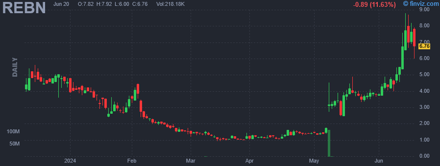 REBN - Reborn Coffee Inc - Stock Price Chart