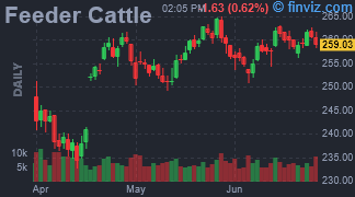 Feeder Cattle Chart Daily