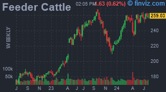 Feeder Cattle Chart Weekly