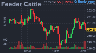 Feeder Cattle Chart 5 Minutes