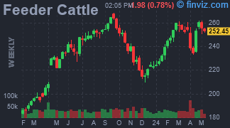 Feeder Cattle Chart Weekly