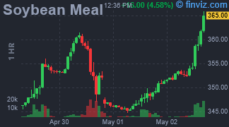 Soybean Meal Chart Hourly